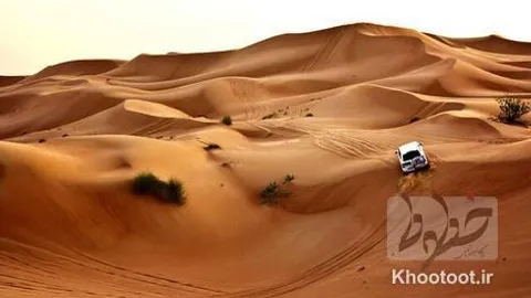فعالان معدنی گرفتار نجات یافتند!