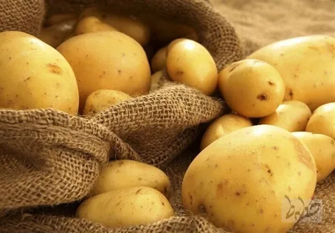 مرگ 113 نفر براثر مسمومیت با قرص برنج