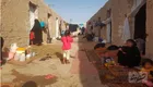 اجاره زندگی در اصطبل و گاوداری؛ ۲ میلیون تومان