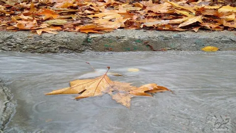 گزارش تصویری از بارش برکت الهی در تهران
