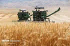 تخلیه ۲۱۴ هزار تن گندم در بندر امام آغاز شد