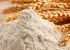 واقعی شدن قیمت آرد صنایع به قاچاق این کالا پایان می‌دهد