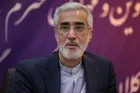 مسیرهای جایگزین برای انتقال دارو فعال شده است