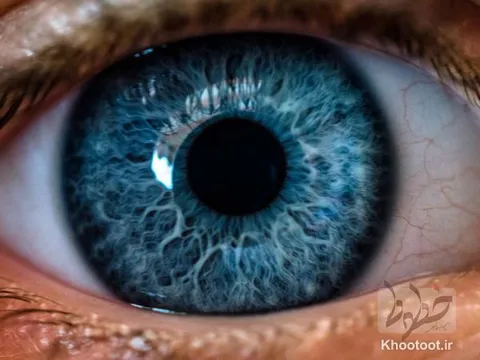 سفری به درون چشم انسان