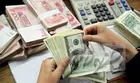درخواست گروهی خاص برای پرداخت وام ارزی به نرخ ارز ۴۲۰۰ تومانی